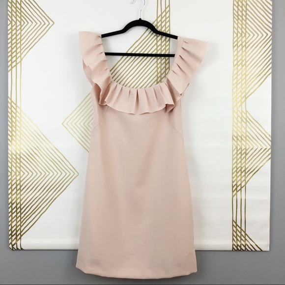 Anthropologie Dresses & Skirts - Anthro: Yoanna Baraschi Ruffled Rose Colored Dress